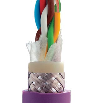 CAT5 network cable