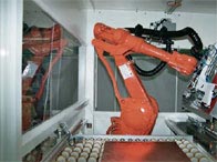cable carrier for robot