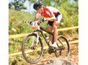 Suspension forks